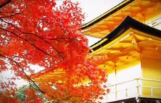 Япония. Сооружение золотого павильона в Киото в 1397 году